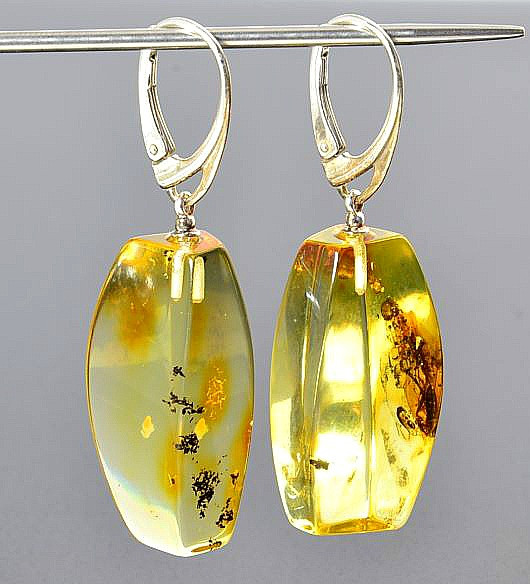 Amber Earrings