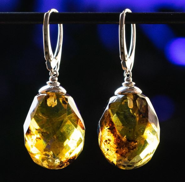 Amber Earrings
