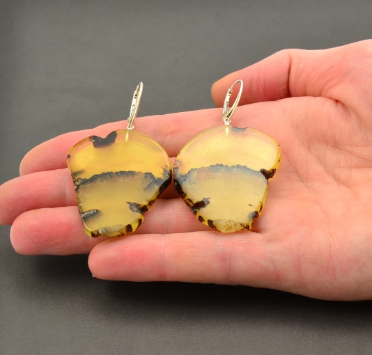 Baltic Amber Slice Earrings