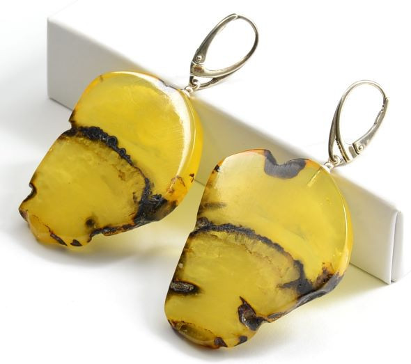 Baltic Amber Slice Earrings