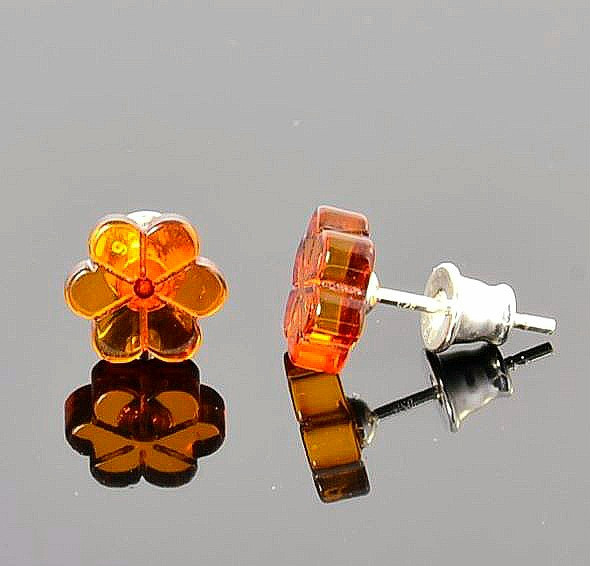 Amber Stud Earrings