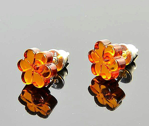 Amber Stud Earrings