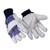 Leather and Canvas Glove #172