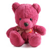Hot Pink Teddy Bear