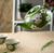 Ume Plum Blossoms Green Tea Set 26oz Tea Pot with 2 Cups by Urban Tokyo Ume Plum Blossoms Green Tea Set 26oz Tea Pot with 2 Cups by Urban Tokyo