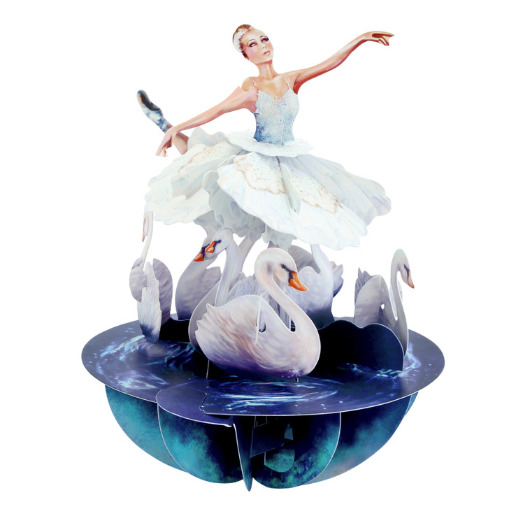Pirouettes - Swan Lake Ballet