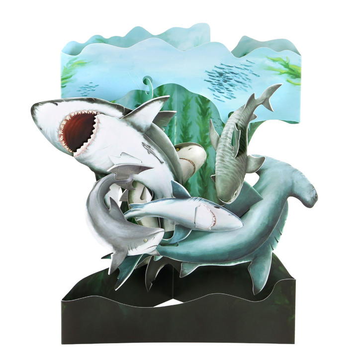 Swing Cards - Sharks