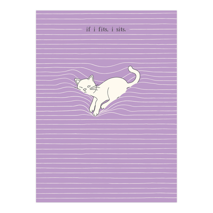 Felines Card - Birthday, Special Occasion, For Kids, For Her, For Him