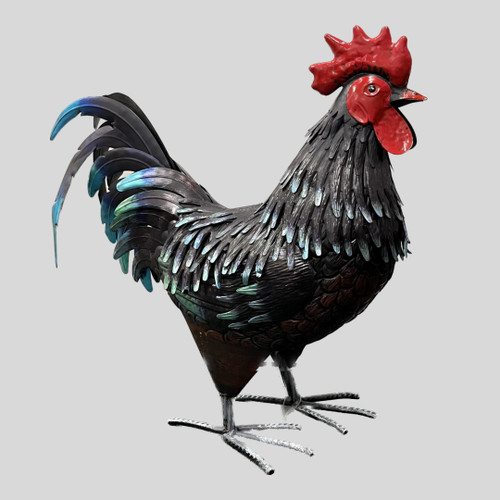 Scott is a metal rooster with dark, almost purplish feathers that transition into a vibrant teal at the tips... (Tail is Detachable).

With striking deep blue and teal tones, these Scott Roosters stand proud with detailing in the feathers and tail that captures the essence of these beloved farmyard creatures.

Scott Rooster is available in two sizes: LG & MED.

Dimensions
 
20"x7.75"x21.5"
Material
 
Metal
 

Amazing paint details
Life-like size
Intricate metalwork
Weather & fade resistant paint
Indoor/outdoor use