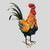 Greg: 16 inch Metal Rooster