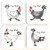 UF Chicken Party Coasters Set of 4 (W)