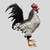 Simon: 21 inch Metal Rooster