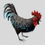 Sebastian: 16 inch Metal Rooster