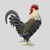 Max is a metal rooster posed with his head looking to the left behind him, with a white neck and body with black feathers that have a crackled effect on them. He stands 14 inches tall, 5 inches wide, and about 13 inches long from chest to tail (Tail is Detachable).

Hundreds of black and white crackle painted feathers create this classic Max Rooster.

The splendid feathering is accompanied with a brightly painted comb, wattle, and beak. When coupled with their lifelike size and posture, you might just confuse these Max Roosters for the real thing.

 

Dimensions
 
11.5"x5"x14"
Material
 
Metal
 

Black and white crackle paint
Life sized
Detailed realistic feather detail
Weather & fade resistant paint