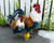 David is a metal rooster with a white neck, burnt orange body, and a beautiful teal stomach and tail. He stands 15 inches tall, 6.5 inches wide, and about 17 inches long from beak to tail (Tail is Detachable).

Known for its long tail and vibrant colors, the David Rooster is a beautiful and exotic bird. Made from thick metal with over one hundred vividly painted feathers. Watch as golden yellows, deep blues and vivid greens bring this full size Rooster to life.

Dimensions
 
15.25"x6.25"x14"
Material
 
Metal
Colorful
Life sized
Detailed realistic feather detail
Weather & fade resistant paint