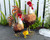 Zion: 15 inch Metal Rooster