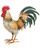 Crafted from durable metal, this rooster stands proud with realistic detailing and colors that captures the essence of the Blake Rooster specific breed. Amazing feather details and finishes in soft tans, greens, and white.
Dimensions 21.25"x8.25"x20.5"Material Metal