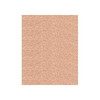 1855 Coffee With Milk Madeira Polyneon 40wt 1100 Yard Polyester embroidery thread spool style 719-1855