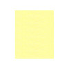 1935 Fluorescent Yellowgreen Madeira Polyneon 40wt 1100 Yard Polyester embroidery thread spool