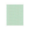 Madeira - Classic - Rayon Embroidery/Sewing Thread - 911-1047 Spool (Celadon)