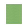Madeira - Classic - Rayon Embroidery/Sewing Thread - 911-1049 Spool (Lime Green)
