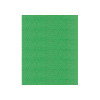 Classic - Rayon Thread - 911-1050 Spool (Green Thumb)