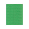 1050 Green Thumb Madeira Classic 1100 Yards Rayon embroidery thread spool