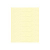 Madeira - Classic - Rayon Embroidery/Sewing Thread - 911-1061 Spool (Vanilla Pudding)