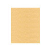 1070 Tawny Tan Madeira Classic 1100 Yards Rayon embroidery thread spool