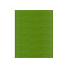 1170 Fern Madeira Classic 1100 Yards Rayon embroidery thread spool