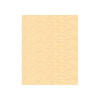 1626 Peaches 'N' Cream Madeira Polyneon 40wt 5500 Yard Polyester embroidery thread spool