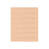 Madeira Polyneon 40wt Polyester Embroidery Thread - 5500 Yard Cone - Color 1927 Shiny Penny