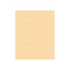 1026 Orange Sorbet Madeira Classic 5500 Yards Rayon embroidery thread spool detail 2