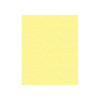 1135 Baby Chick Madeira Classic 5500 Yards Rayon embroidery thread spool