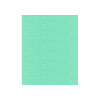 1302 Spearmint Madeira Classic 5500 Yards Rayon embroidery thread spool