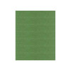 Madeira - Classic - Rayon Embroidery/Sewing Thread - 910-1369 (Fresh Pine)