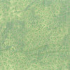 Day Dreams fat quarter fabric with green tonal leaf print