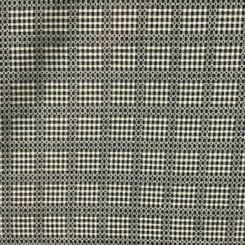 Black/White Forget Me No Plaid quilting fabric by RJR