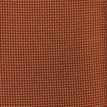 Rust Pioneer Brides Canyon quilting fabric by RJR