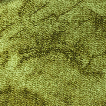 Yellow Green Midnight Garden Texture quilting fabric by RJR