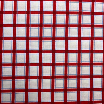 Red Wee Play Plaid quilting fabric by Red Rooster