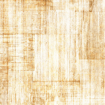 QT Fabrics - Into The Woods - Wood Texture - Sand