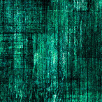 QT Fabrics - Into The Woods - Wood Texture - Spruce
