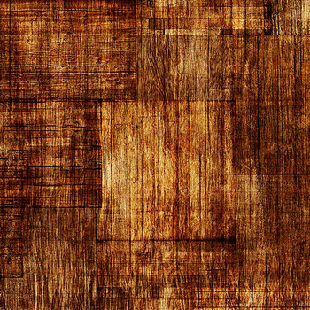 QT Fabrics - Into The Woods - Wood Texture - Brown