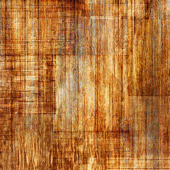 QT Fabrics - Into The Woods - Wood Texture - Caramel