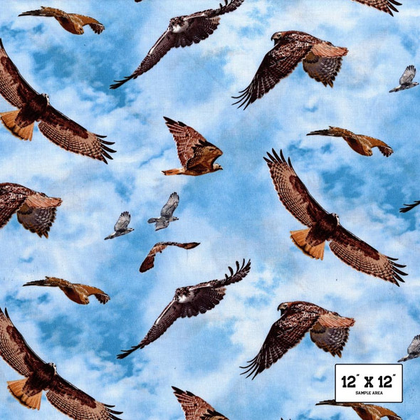 Elizabeth's Studio - North American Wildlife - Hawks Allover - Blue