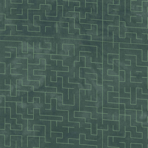 1873/2 Rainforest Tonal Maze quilting fabric by Riverwoods