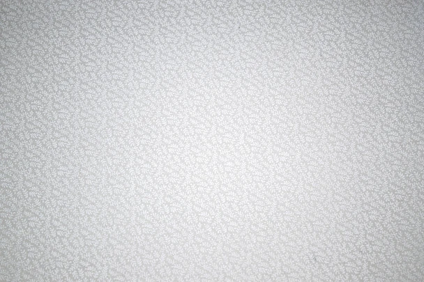 Tone on Tone SPW8 - Ferns - White/White product shown for scale and identification