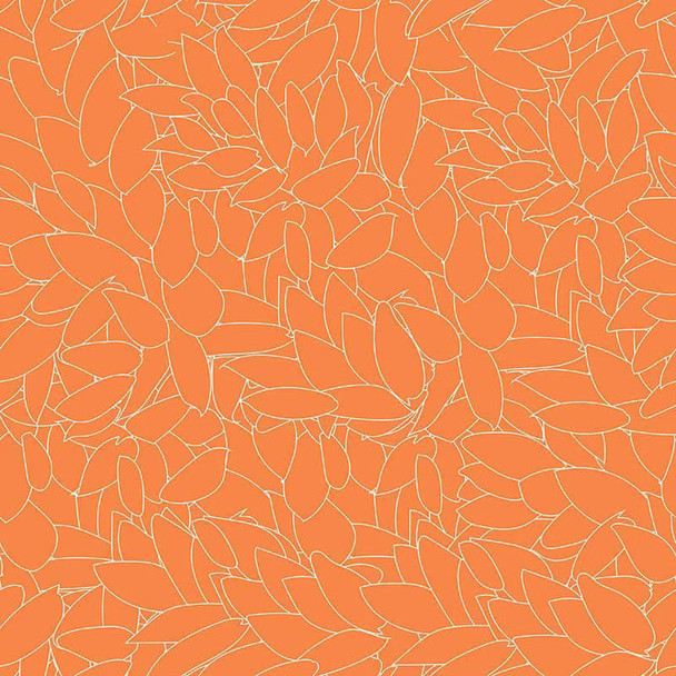 Citrus Pop - Cluster - Orange