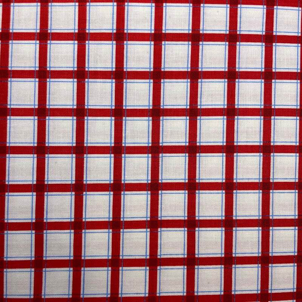 Red Wee Play Plaid quilting fabric by Red Rooster